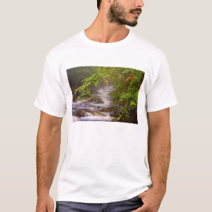 Camiseta EUA, Vermont, East Arlington, Correntes fluindo