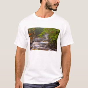 Camiseta EUA, Vermont, East Arlington, Fluxos
