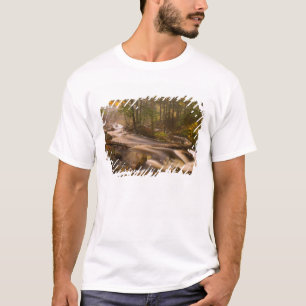 Camiseta EUA, Vermont, East Arlington, Fluxos 2