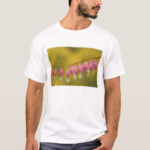 Camiseta EUA, Virgínia, Arlington, close-up do rosa