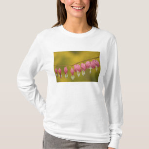 Camiseta EUA, Virgínia, Arlington, close-up do rosa