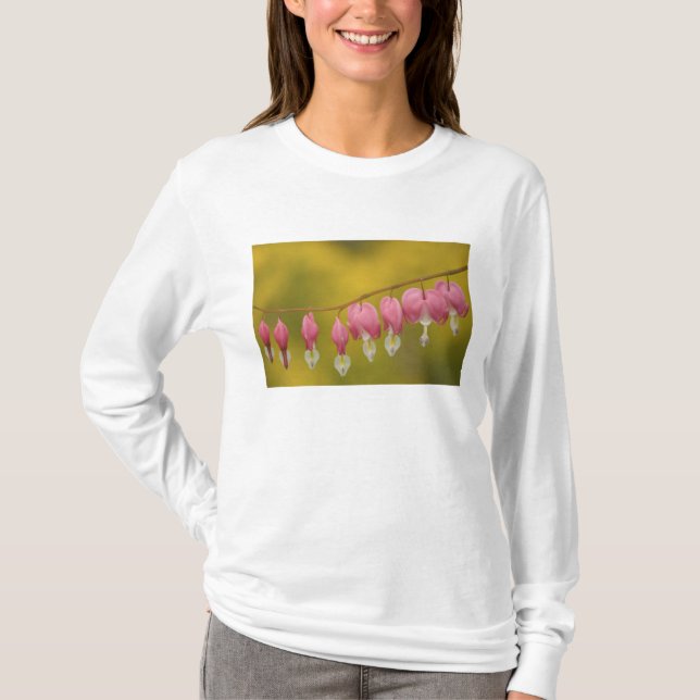 Camiseta EUA, Virgínia, Arlington, close-up do rosa (Frente)