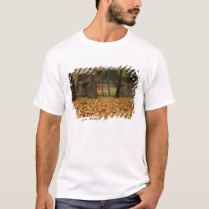 Camiseta EUA, Virgínia, Covington, Humpback Coberto