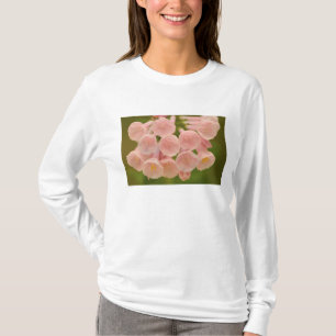 Camiseta EUA, Virgínia, Manassas, Manassas Nacional