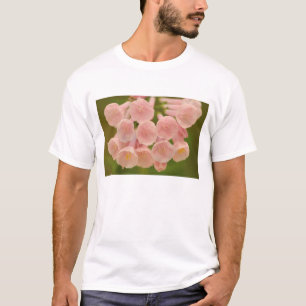 Camiseta EUA, Virgínia, Manassas, Manassas Nacional