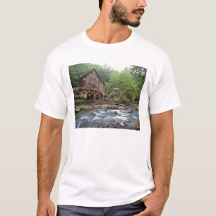 Camiseta EUA, Virgínia Ocidental, Babcock SP. Rustic Glade