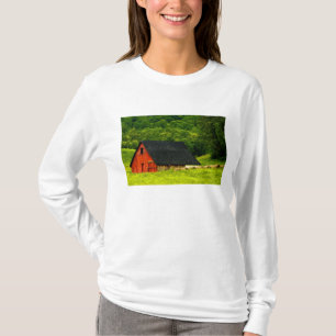Camiseta EUA, Virgínia, parque nacional de Shenandoah, 2