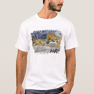 Camiseta EUA, WA, Alpine Lakes WIlderness Enchantments.