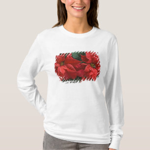 Camiseta EUA, WA, Detalhe da Poinsettia Vermelha (Euphorbia