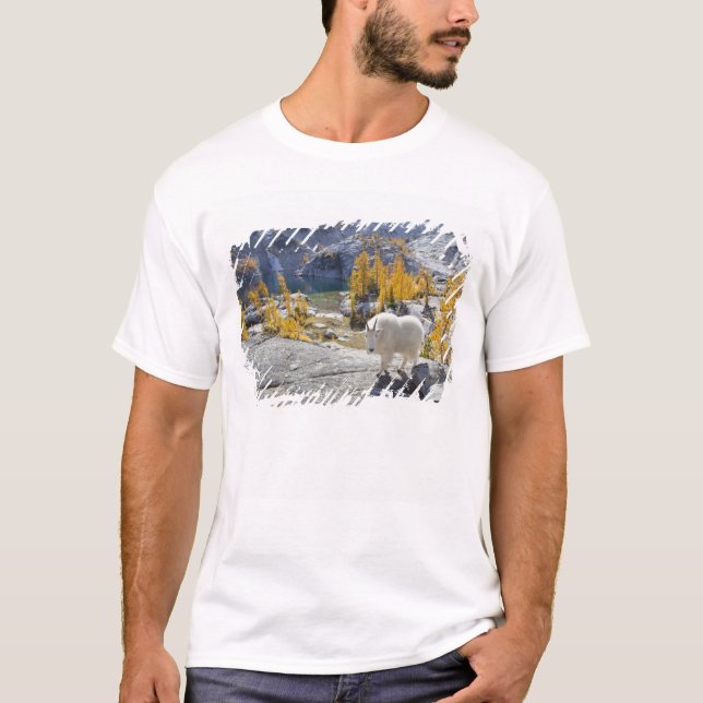Camiseta EUA, WA, latrinas de WIlderness dos Alpes. (Frente)
