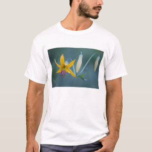 Camiseta EUA, WA, Parque Nacional Mt. Rainier. Columbia
