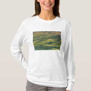 Camiseta EUA, WA, Whitman Co., Palouse Fazenda Fields from