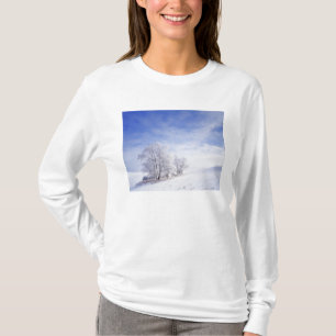 Camiseta EUA, Washington, Área de Palouse, Preto Geado