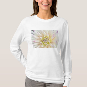 Camiseta EUA, Washington, Bellevue, Jardim Botânico de Bell