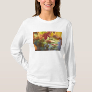 Camiseta EUA, Washington, Bellingham, Close-up do outono