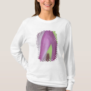 Camiseta EUA, Washington. Close-up da flor de magnólia.