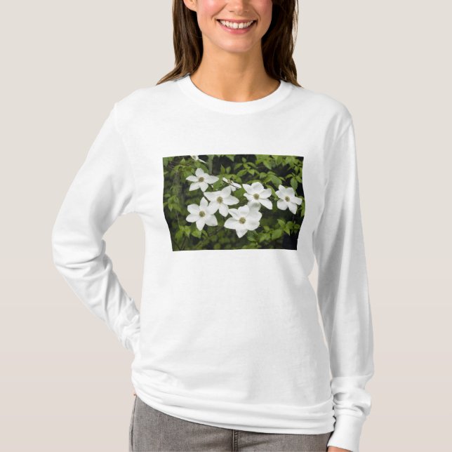 Camiseta EUA, Washington, Cornus do Pacífico, Cornus (Frente)