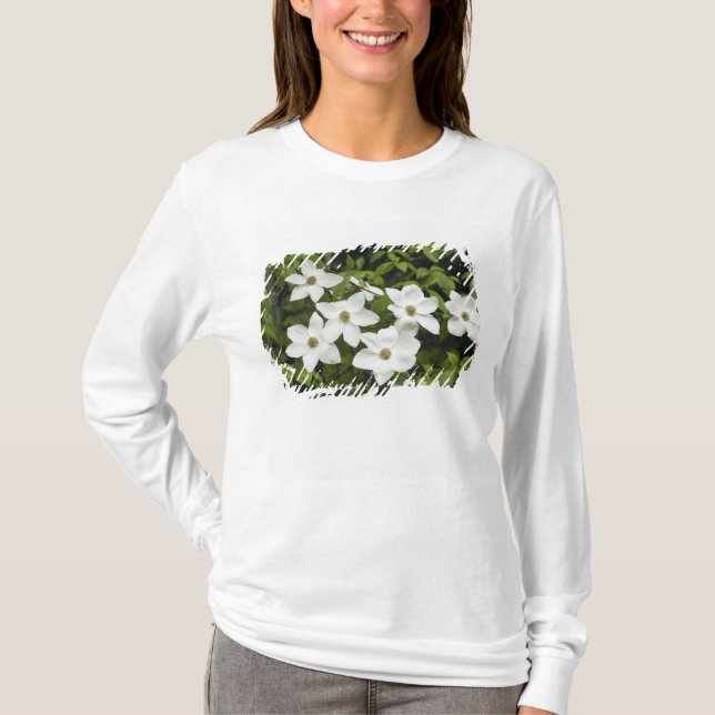Camiseta EUA, Washington, Cornus do Pacífico, Cornus (Frente)