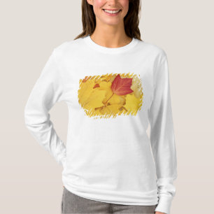 Camiseta EUA, Washington, Finch Arboretum, Vermelho e