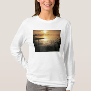 Camiseta EUA, Washington, Ilha Lopez, Névoa da manhã em