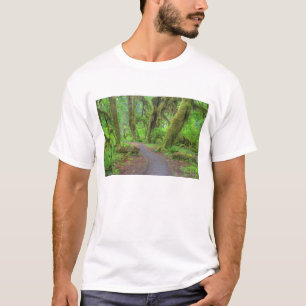Camiseta EUA, Washington, Parque Nacional Olimpiadas, Hoh R