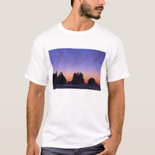 Camiseta EUA, Washington, Parque Nacional Olimpiadas, Shi-s
