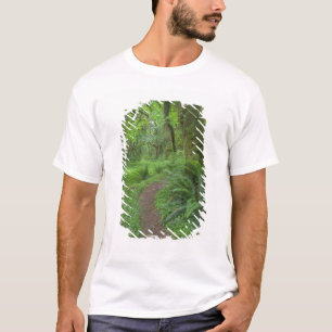 Camiseta EUA, Washington, Parque Nacional Olímpico,