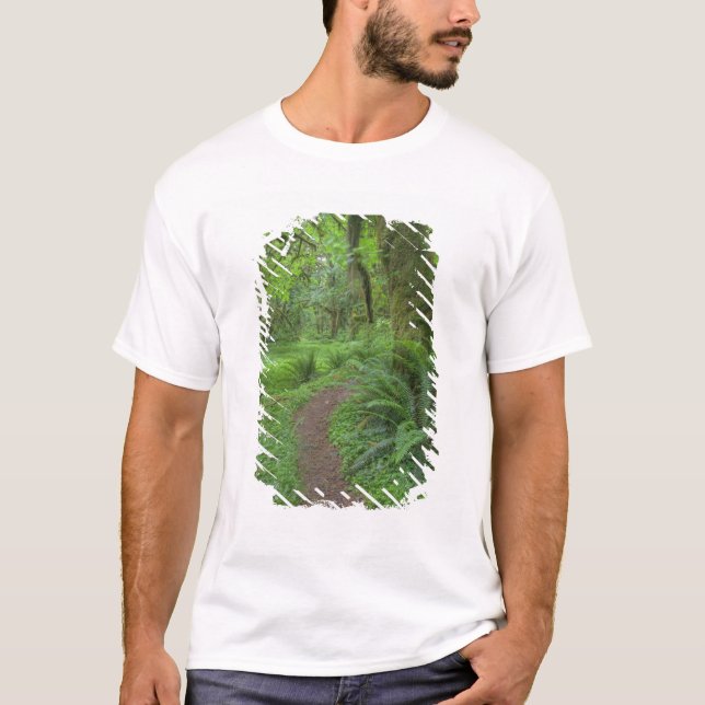 Camiseta EUA, Washington, Parque Nacional Olímpico, (Frente)