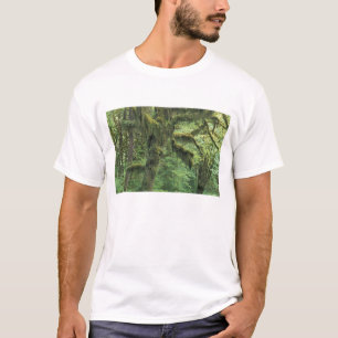 Camiseta EUA, Washington, Parque Nacional Olímpico.