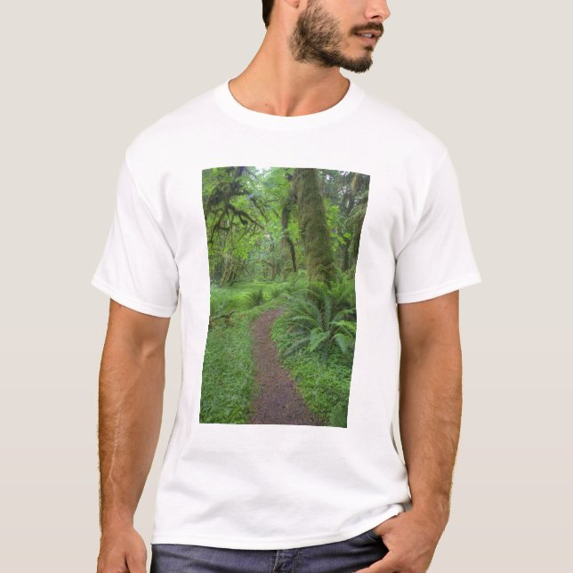 Camiseta EUA, Washington, Parque Nacional Olímpico, (Frente)