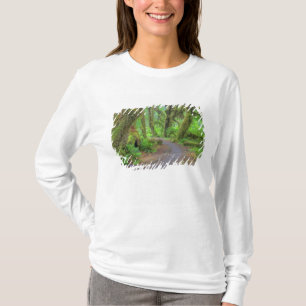 Camiseta EUA, Washington, Parque Nacional Olímpico, Hoh 2
