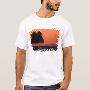 Camiseta EUA, Washington, Parque Nacional Olímpico, Mar