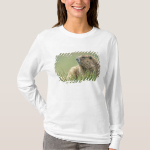 Camiseta EUA, Washington, Parque Nacional Olímpico, Marmota
