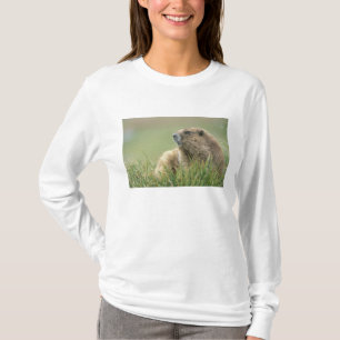Camiseta EUA, Washington, Parque Nacional Olímpico, Marmota