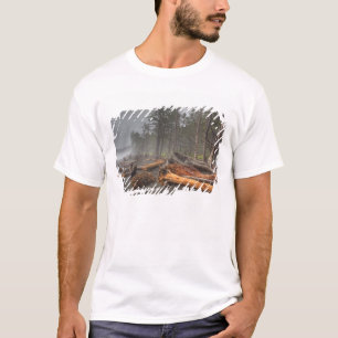 Camiseta EUA, Washington, Parque Nacional Olímpico, Rialto