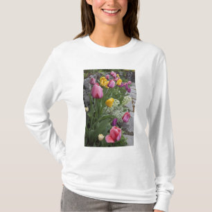 Camiseta EUA, Washington, Seabeck. Tulipas alinham jardim