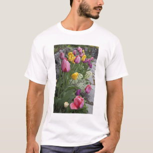Camiseta EUA, Washington, Seabeck. Tulipas alinham jardim
