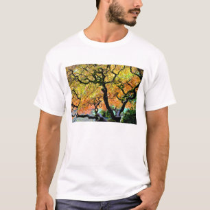 Camiseta EUA, Washington, Seattle, Jardim Kubota.