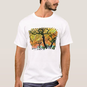 Camiseta EUA, Washington, Seattle, Jardim Kubota.