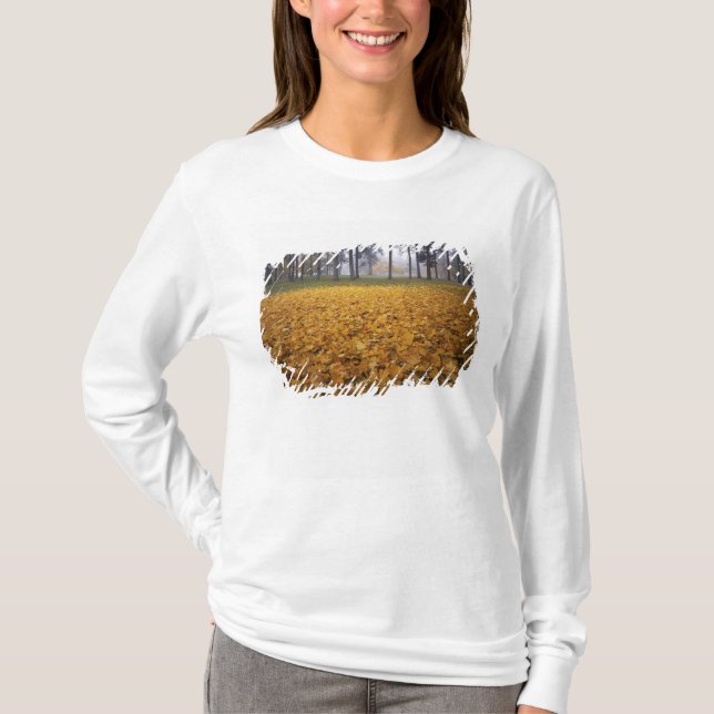 Camiseta EUA, Washington, Spokane, Manito Park, Outono (Frente)