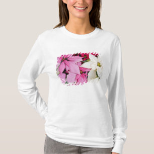Camiseta EUA, Washington, Woodinville, Molbak's Nursery, 2