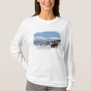 Camiseta EUA, WY, Parque Nacional Yellowstone, Bisonte Amer