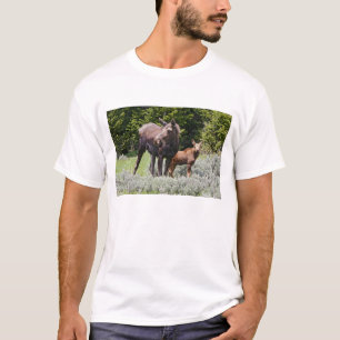 Camiseta EUA, Wyoming, Montanhas Bighorn, Alces de alce
