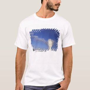 Camiseta EUA, Wyoming. Parque Nacional de Yellowstone. Anti