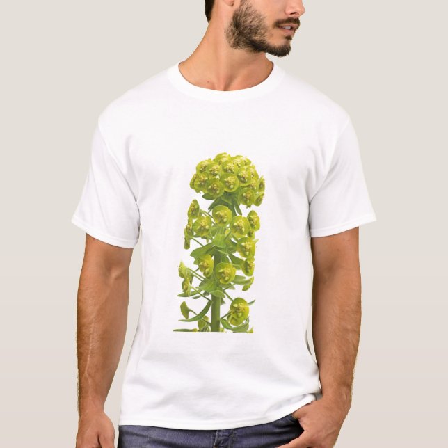 Camiseta Eufórbio (Frente)