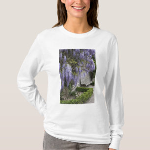 Camiseta Europa, Áustria, Salzburg Stadt, Salzburg,
