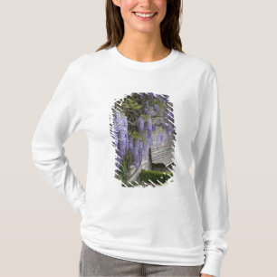 Camiseta Europa, Áustria, Salzburg Stadt, Salzburg,