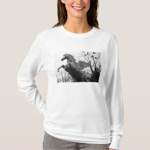 Camiseta Europa, Áustria, Salzburgo. Estátua de cavalo alad