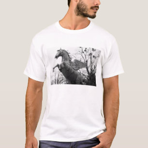Camiseta Europa, Áustria, Salzburgo. Estátua de cavalo alad