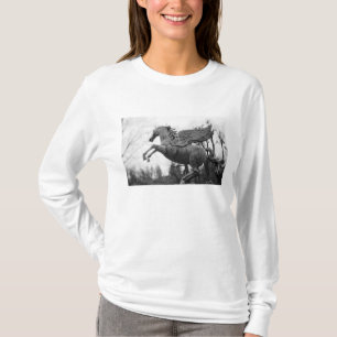 Camiseta Europa, Áustria, Salzburgo. Estátua de cavalo alad